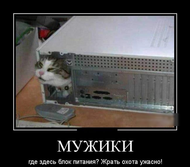 МУЖИКИ где здесь блок питания Жрать охота ужасно