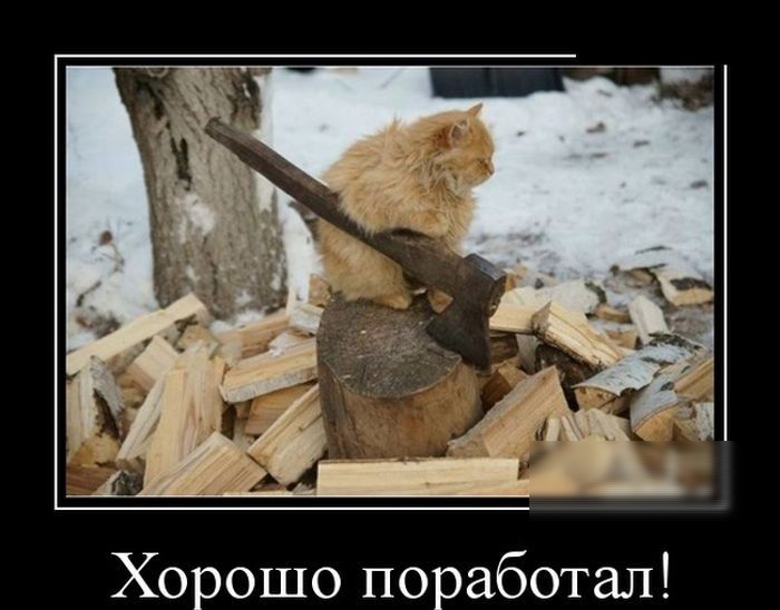 Хорошо поработал