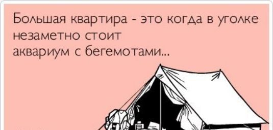 БОАьшая квартира 7 это когда в угОАке незаметно стоит аквариум с бегемотами