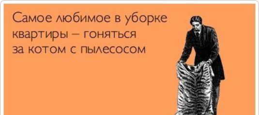 Самое Аюбимое в уборке квартиры гоняться за котом с пьиесосом