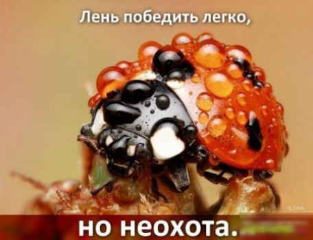 Ичн ц Щчшп мо