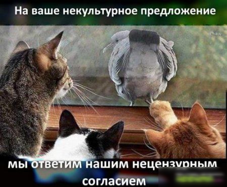 На ваше некупьтурное предложение ашим нецёизчлиым соглашат