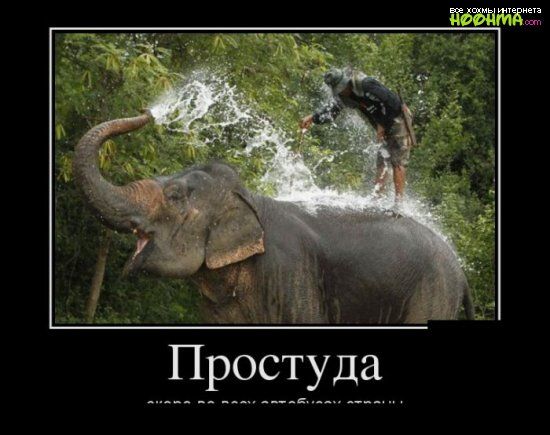Простуда