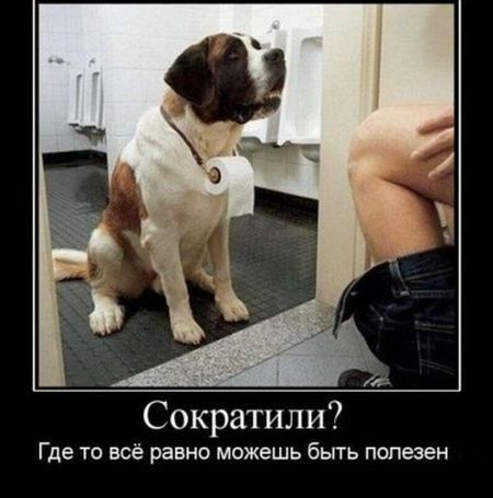 Сократили Где то всё равно можешь быть полезен