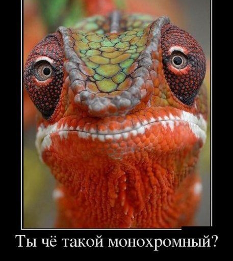 Ты чё такой моно рошшый