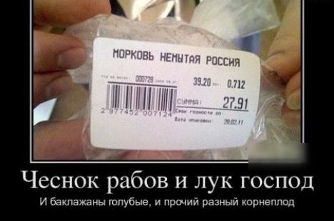 Чеснок рабов и лук господ и баклажаны шпубые прший разный карнеппод