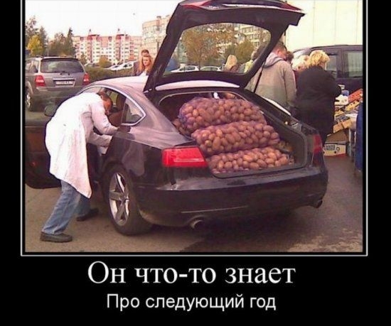 дві 125 Он что то знает Про следующий год