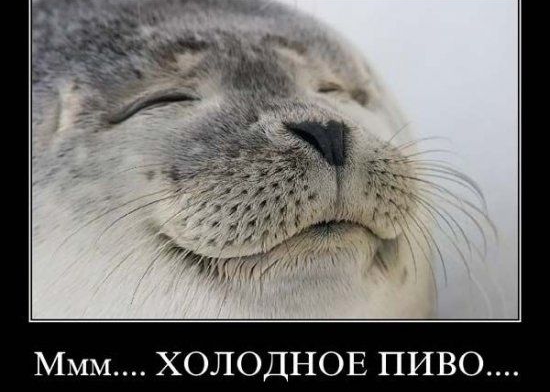 Ммм ХОЛОДНОЕ ПИВО