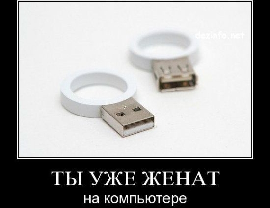 ТЫ УЖЕ ЖЕНАТ на компьютере