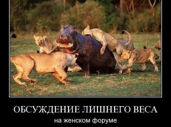 ОБСУЖДЕНИЕ ЛИШНЕГО ВЕСА на женском форуме