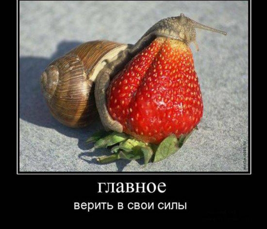 ГЛЗВНОС верить в свои силы