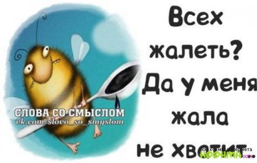 Всех жалеть