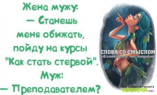Жена мужу Станешь меня обижать пойду на курсы Как стать стервой Муж Преподавателем