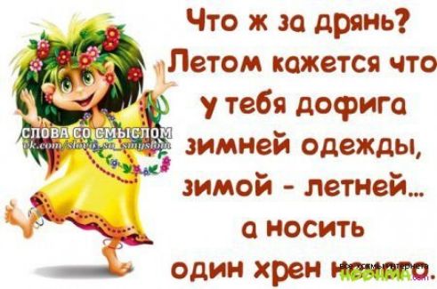 Что ж за дрянь Летом кажется что у тебя дофига т зимней одежды зимой летней носить один хрен