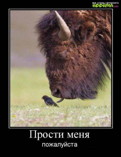 Прости меня пожалуйста