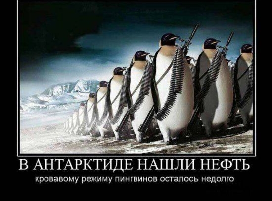 В АНТАРКТИДЕ НАШЛИ НЕФТЬ кровавому режиму пингвинов осгапось неделю
