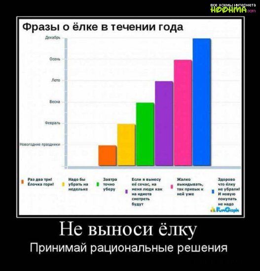 Фразы о ёпке в течении года Не выноси ёлку Принимай рациональные решения