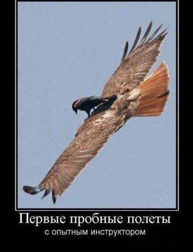 Первые пробные полеты с опытным инструктором