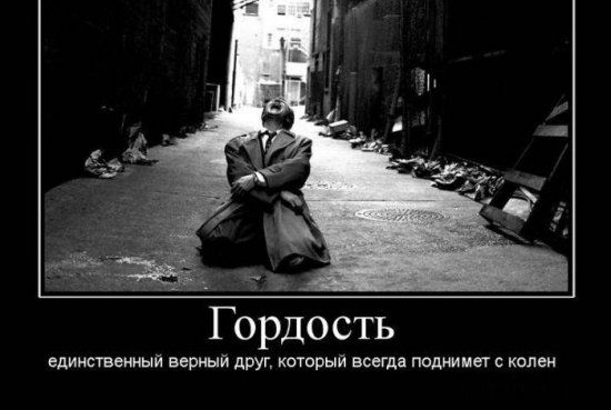 аг Гордость единственный верный друг котрый всегда поднимет с колен