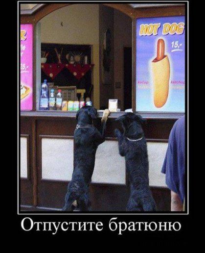 Отпустите братюню