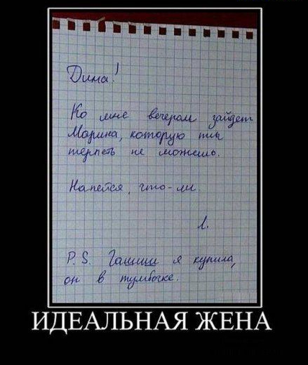 ИДЕАЛЬНАЯ ЖЕНА
