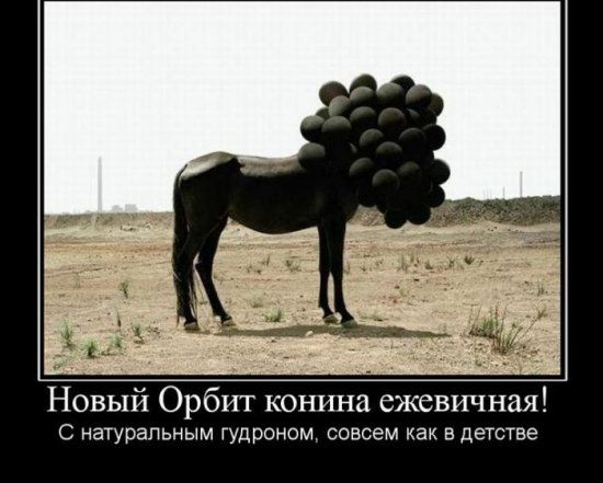 Новый Орбит конпна ежевичная С НЗТУРЭПЬНЫМ ГУДРОНОМ СОВСЭМ как В ДеТСТБЭ