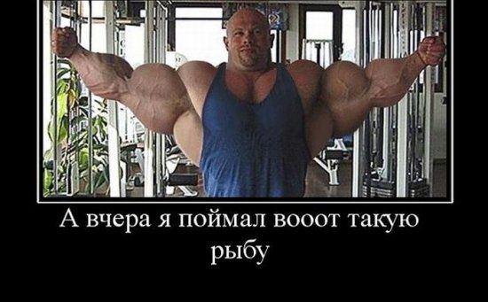 А вчера я поймал вооот такую рыбу
