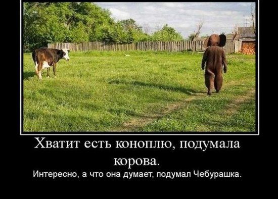 иимыши3 Хватит есть КОНОППЮ подумала корова Интересно а что она думает подумал Чебурашка