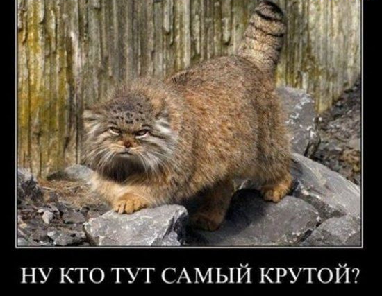 о и Р к Ь М А С и Т 0 т к У н