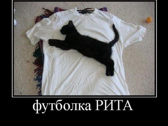 А футболка РИТА