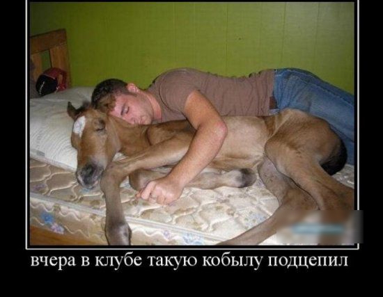 вчера в клубе такую кобылу подцепил