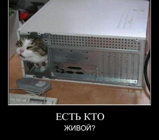 ЕСТЬ КТО живой