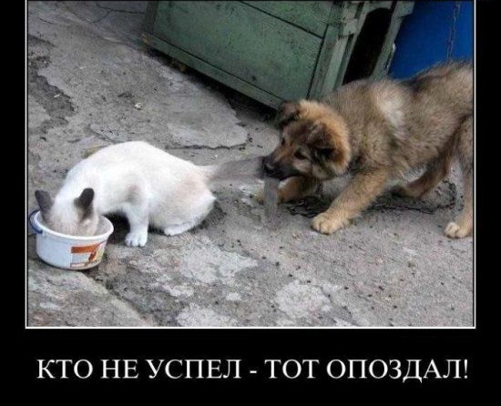 КТО НЕ УСПЕЛ ТОТ ОПОЗДАЛ