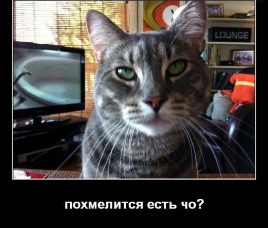 ПОХМеПИТСЯ есть ЧО