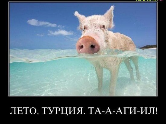 ЛЕТО ТУРЦИЯ ТА А АГИ ИЛ