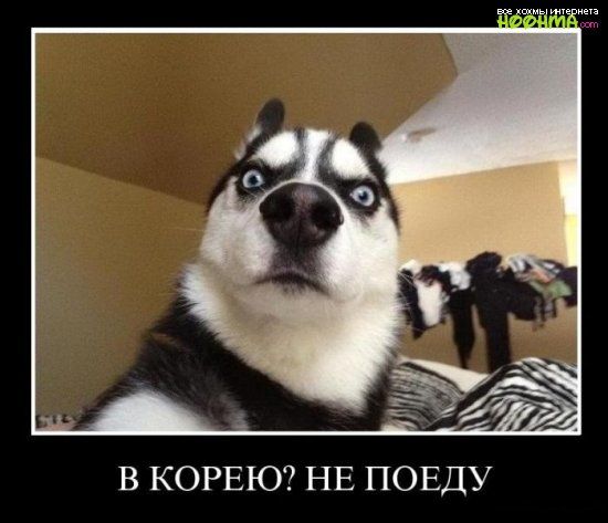 В КОРЕЮ7 НЕ ПОЕДУ