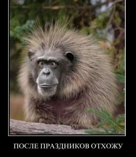 ПОСЛЕ ПРАЗДНИКОВ ОТХОЖУ