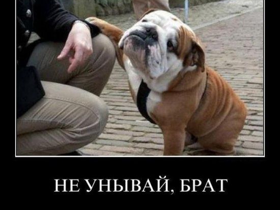 НЕ УНЫВАЙ БРАТ