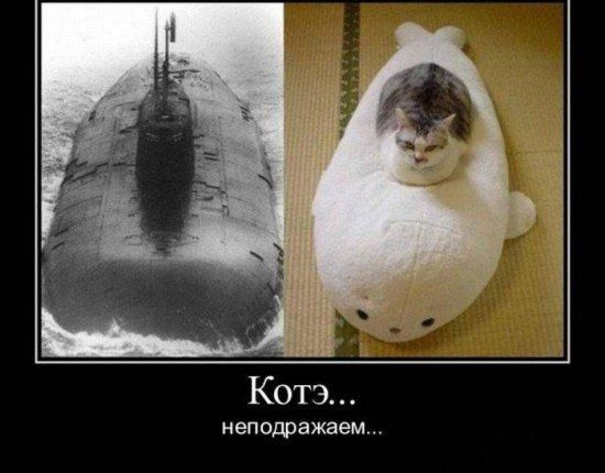 Котэ неподражаем