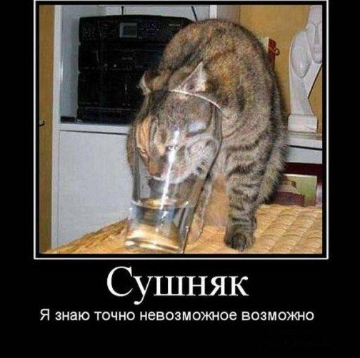 Я знаю ТОЧНО невозможное ЕОЗМОЯМО