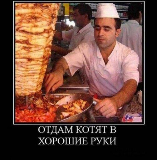 ОТДАМ КОТЯТ В ХОРОШИЕ РУКИ