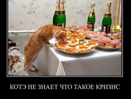 КОТЭ НЕ ЗНАЕТ ЧТО ТАКОЕ КРИЗИС