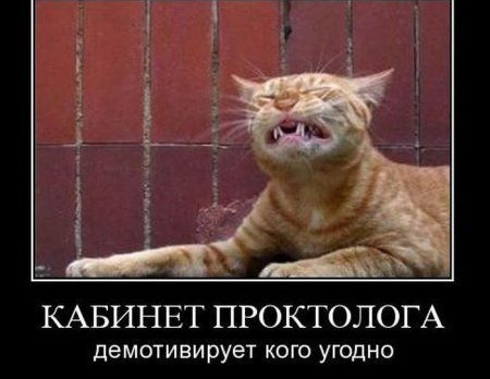 КАБИНЕТ ПРОКТОЛОГА демотивирует кого угодно