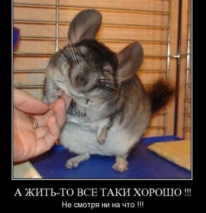 А ЖИТЬ ТО ВСЕ ТАКИ ХОРОШО Не шагря ни на что