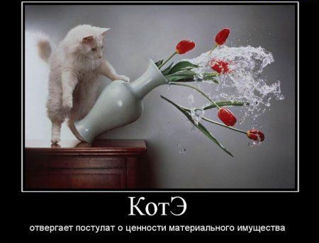 КотЭ отпргает пжгупат ценности иатешальнот имущества