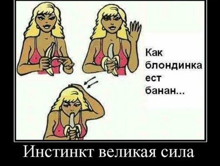 ИНСТИНКТ ВСЛИКаЯ СИЛЭ