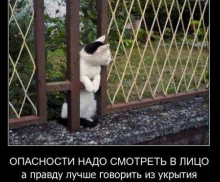 ОПАСНОСТИ НАДО СМОТРЕТЬ В лицо в правду лучше говорить из укрьггия