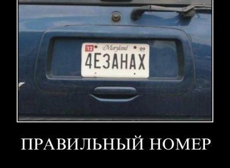 ПРАВИЛЬНЫЙ НОМЕР