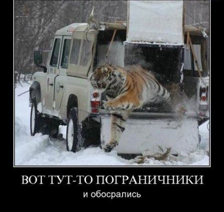 ВОТ ТУТ ТО ПОГРАНИЧНИКИ и обосрапись