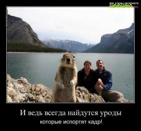 И ведь всегда найдутся уроды которые испортят кадр